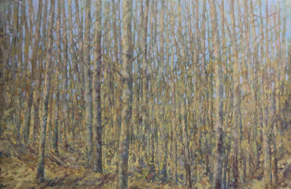 early spring tangle of trees fading into the forest, Patricia Scarborough Artist, Nebraska artist
