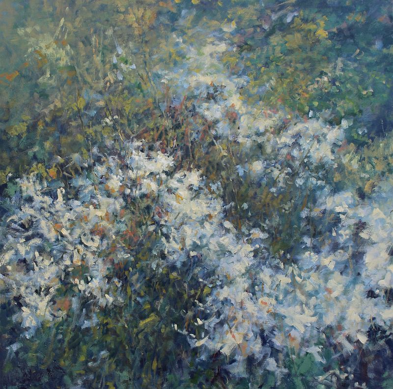 Patricia Scarborough Artist, Nebraska Artist, Sunny white flowers