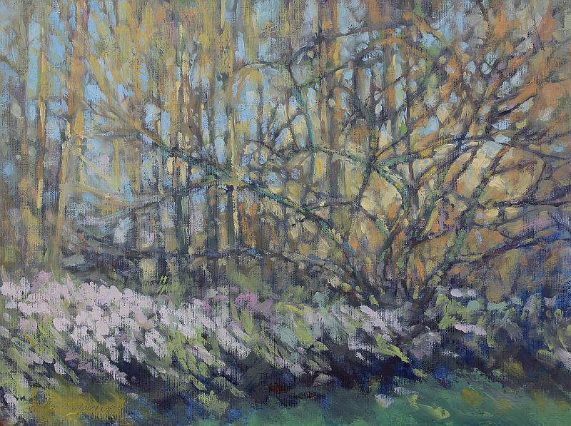 tangle of trees behind a plum thicket, Patricia Scarborough Artist, Nebraska artist