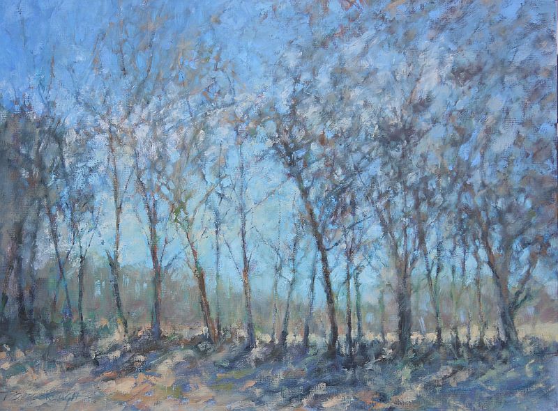 trees blowing in the wind, Patricia Scarborough Artist, Nebraska Artist